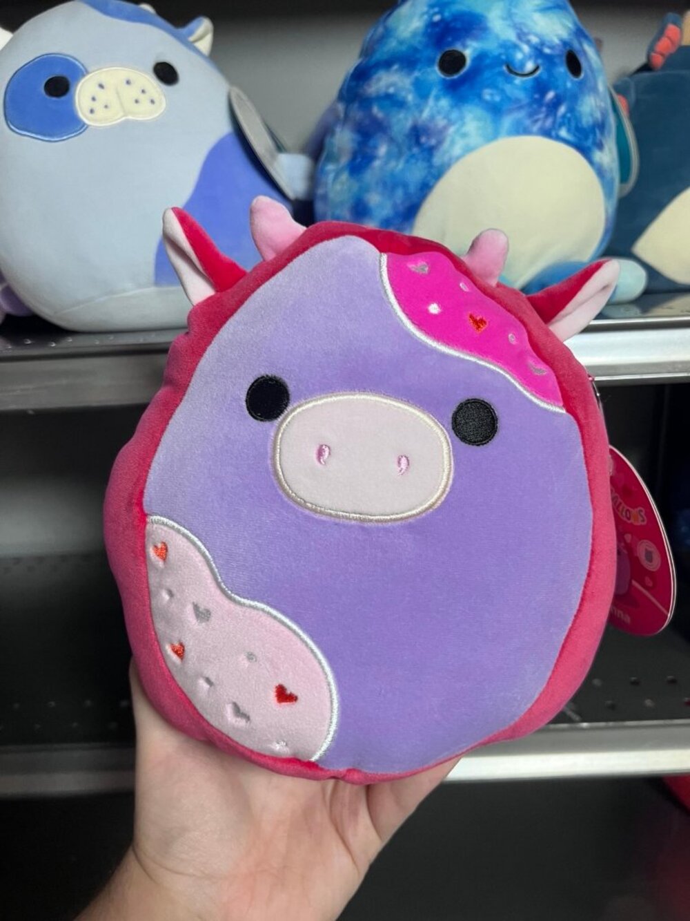 Squishmallow Deanna the Cookie Cow 8" NWT